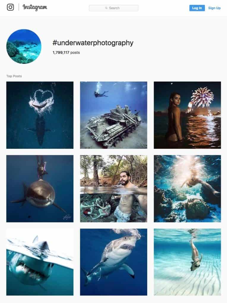 Underwater Photography Instagram