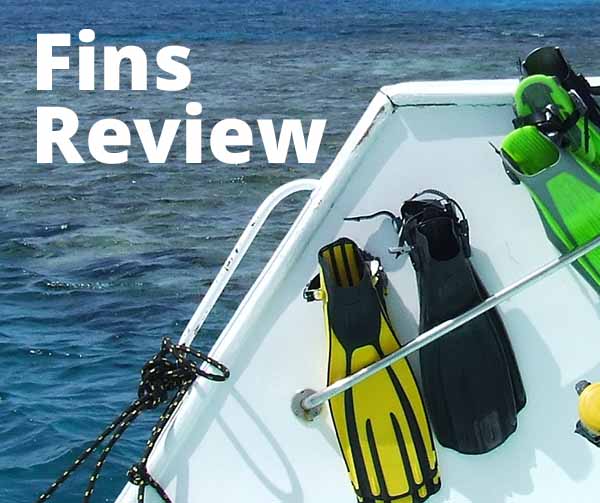 Fins Review